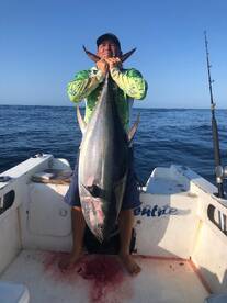Tuna day 