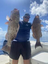 Deep Water Gag and Scamps