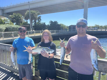 Belleair Bluffs Report Photo 1