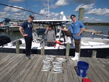 Last few weeks for Spanish!