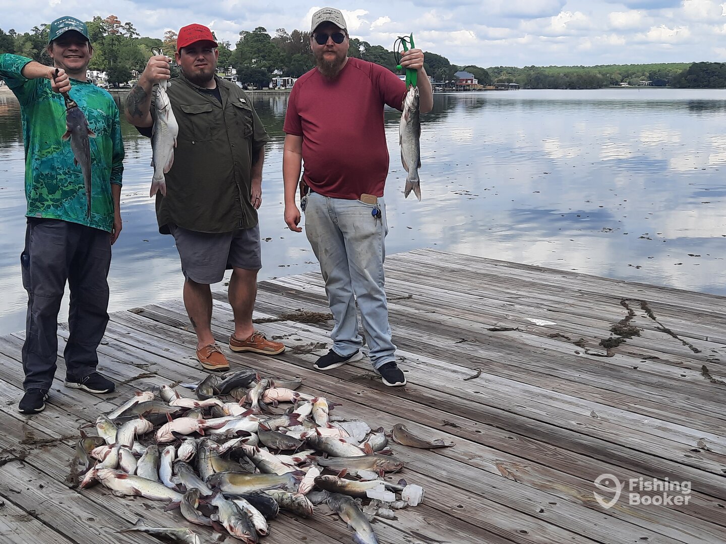 Willis Report Photo 0