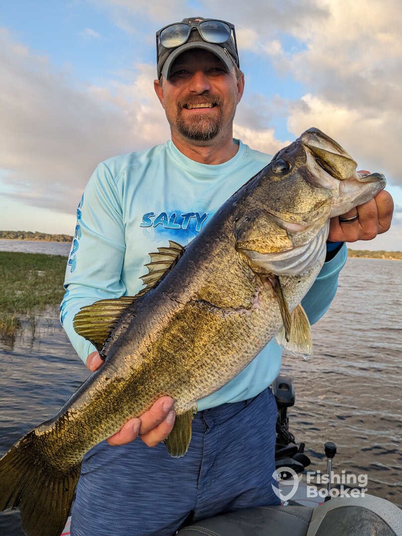 Orlando Report Photo 0