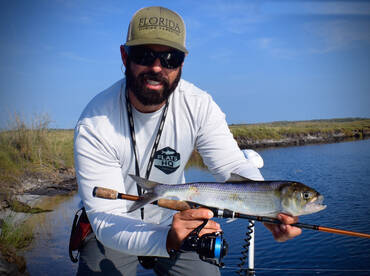 Orlando Report Photo 2