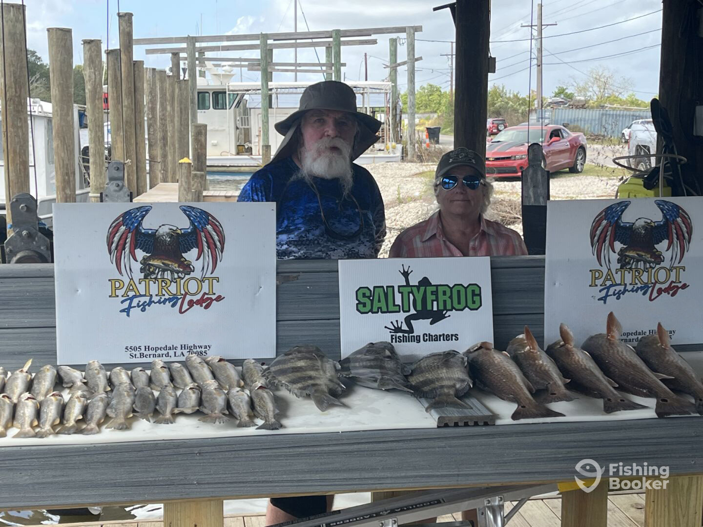 St. Bernard Report Photo 0