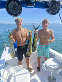 Puerto Vallarta Report Photo 2