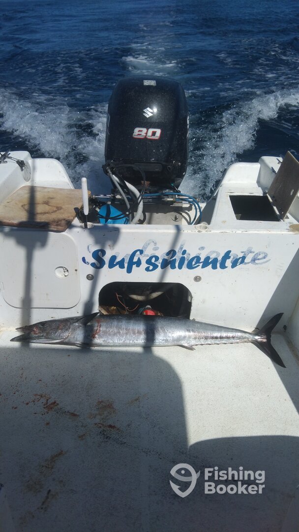 San Jose del Cabo Report Photo 0