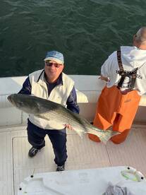 Huge stripers are on the move