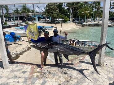 Dominicus Report Photo 2