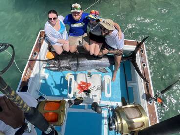 Dominicus Report Photo 1