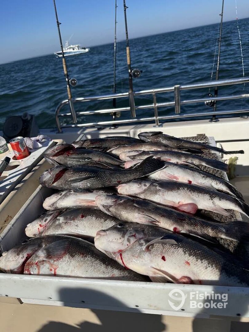 Montauk Report Photo 0