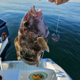 Stone Harbor Report Photo 2