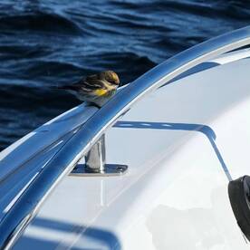 Stone Harbor Report Photo 1