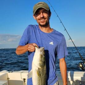 10/28 Striped Bass