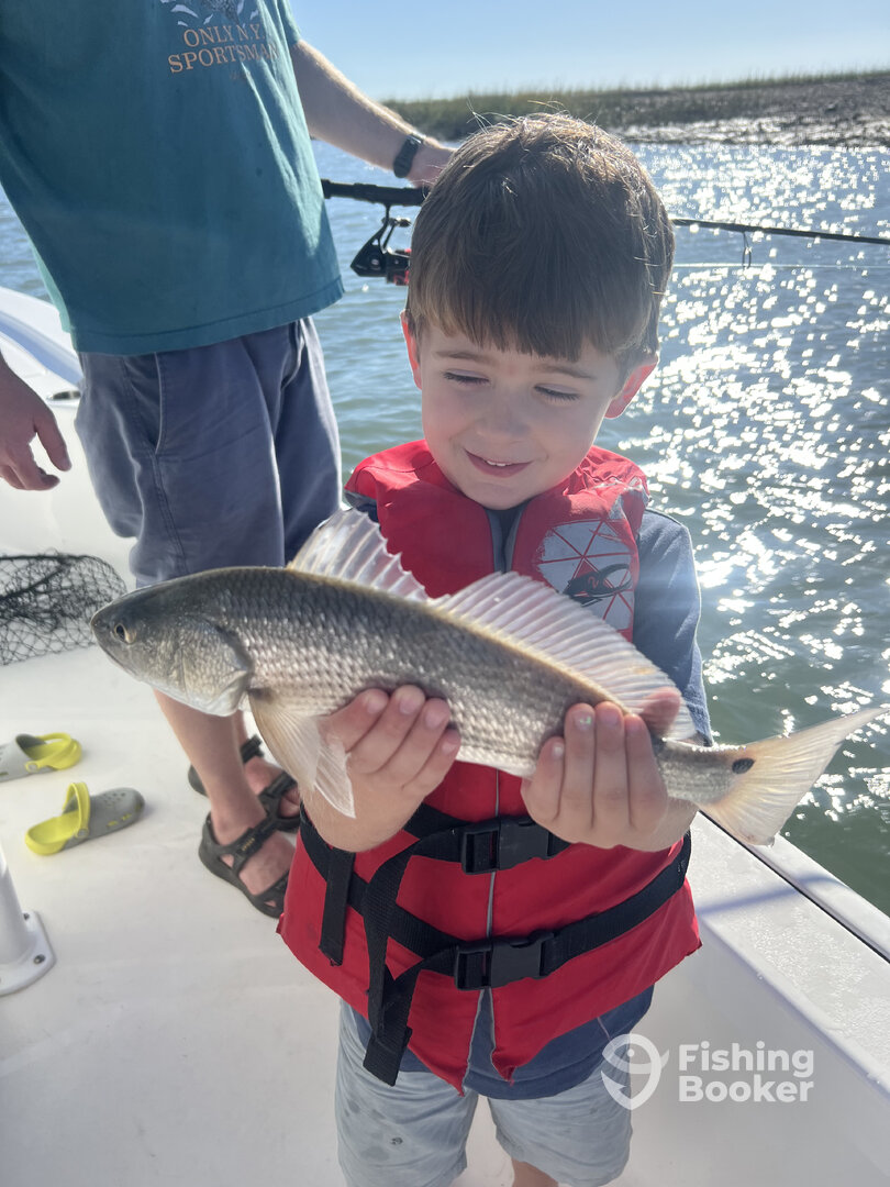 Mount Pleasant Report Photo 0