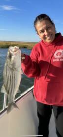 Stripers have arrived!!! 