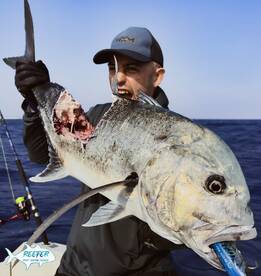 Last Week Fishing Trip (October 2023)