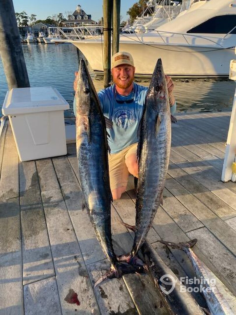 Virginia Beach Report Photo 0