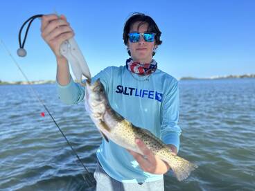 Sarasota Verslag Foto 1