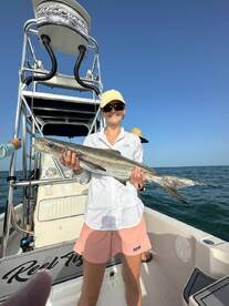 Sarasota Report Photo 1