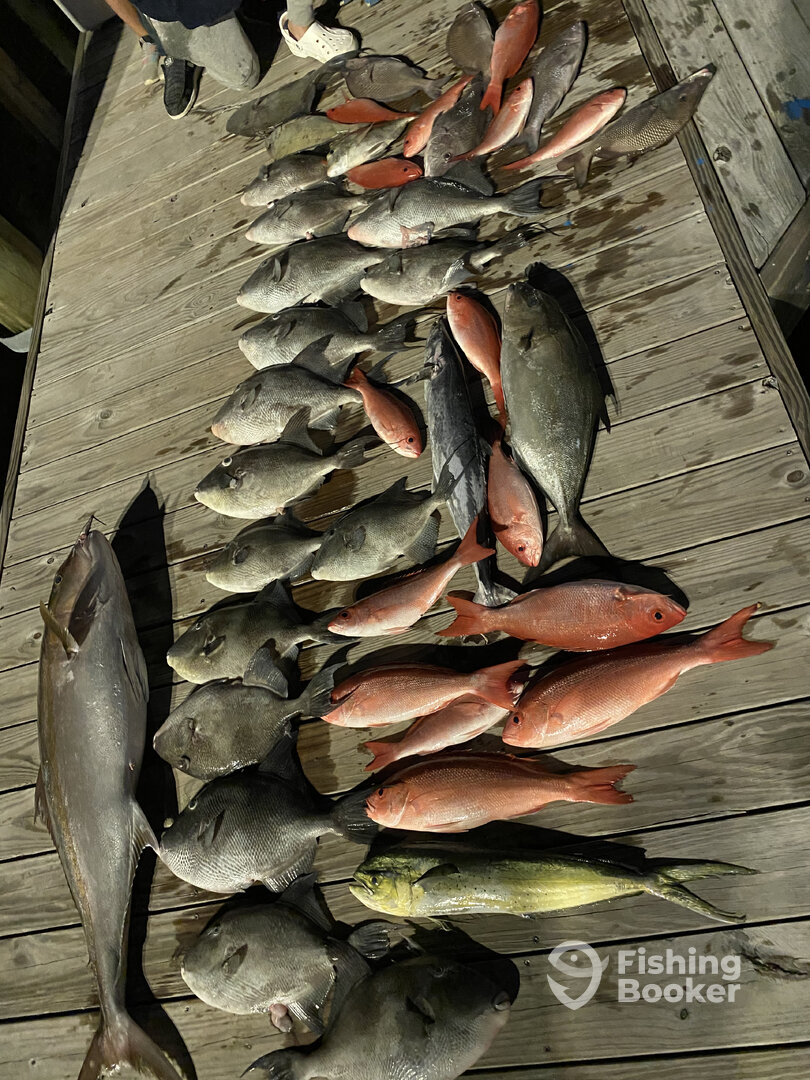 North Myrtle Beach Report Photo 0