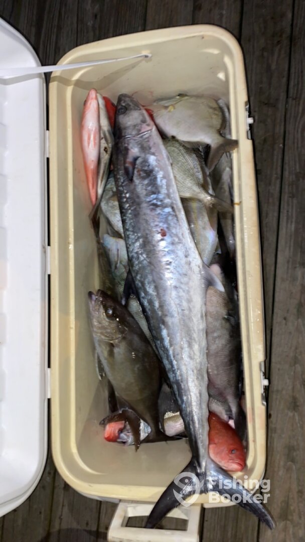 North Myrtle Beach Report Photo 0