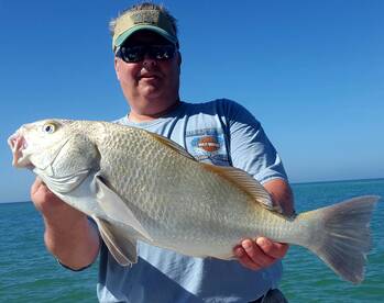 Bay Pines Report Photo 2