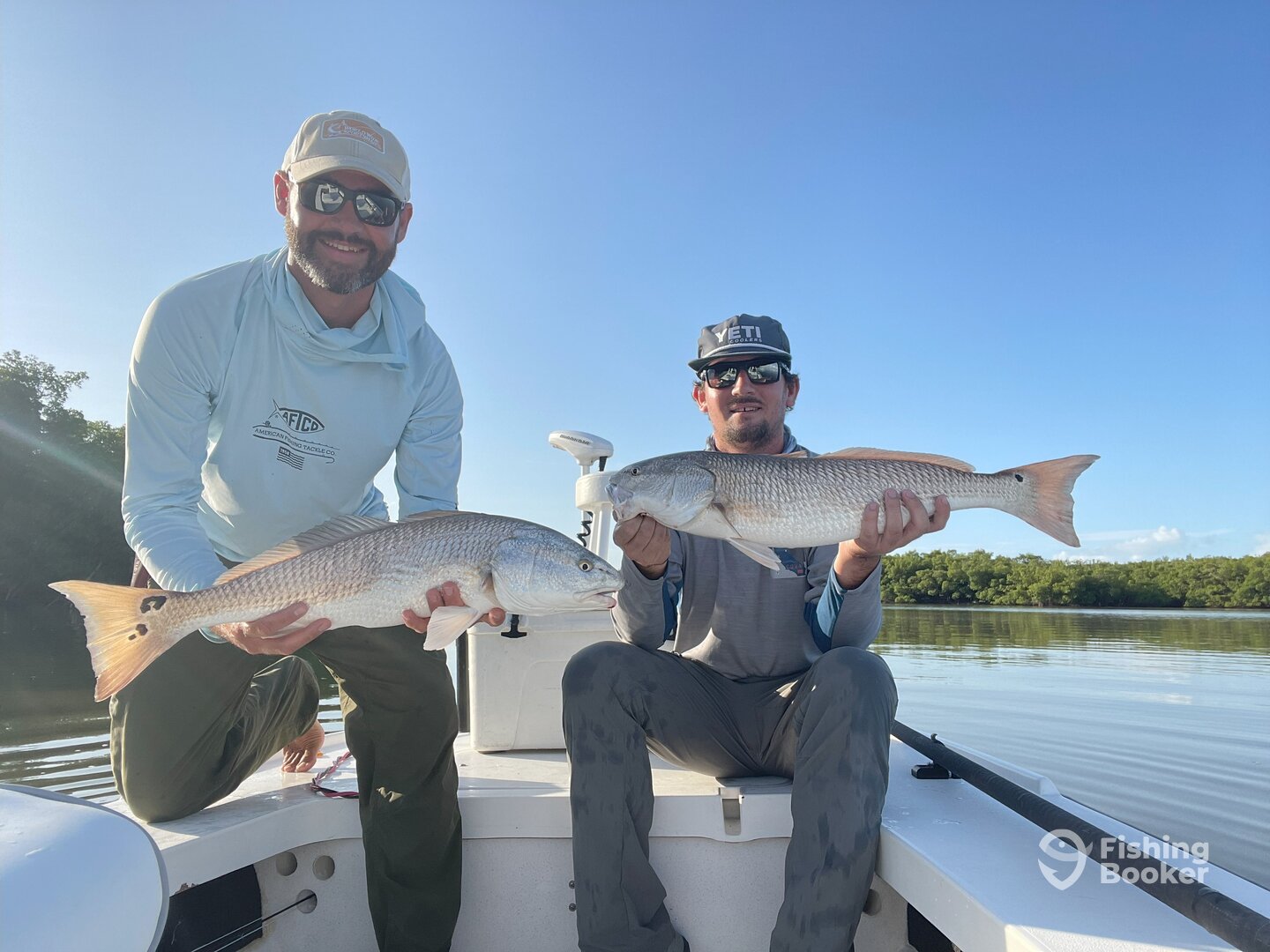 Naples Report Photo 0