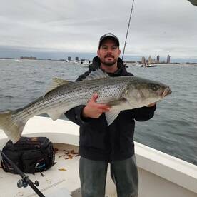 Mastic Report Photo 2