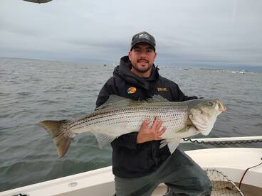 Mastic Report Photo 1