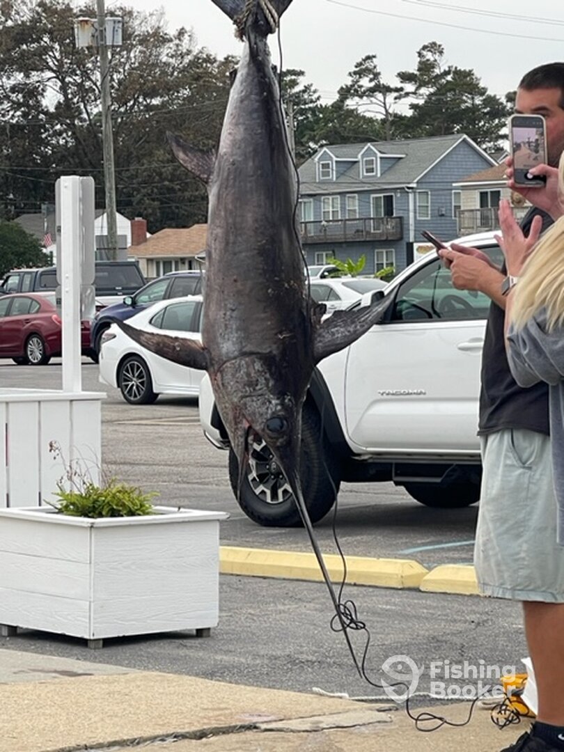 Virginia Beach Report Photo 0