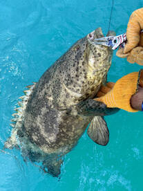 Key West Report Photo 2