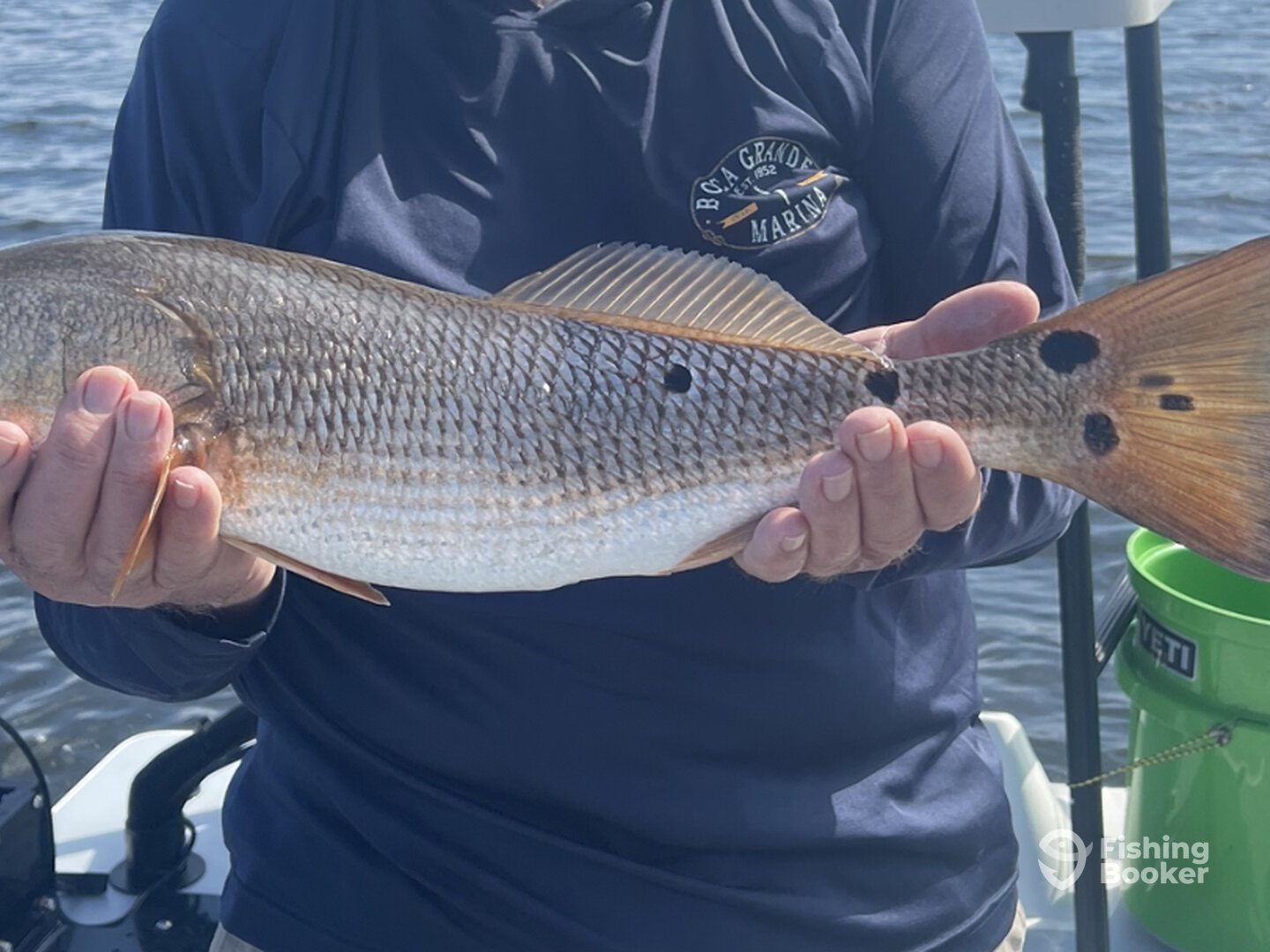 Englewood Report Photo 0