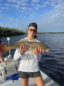 Englewood Report Photo 2