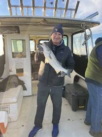 Bellevue Report Photo 2