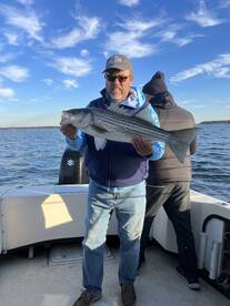 Bellevue Report Photo 1