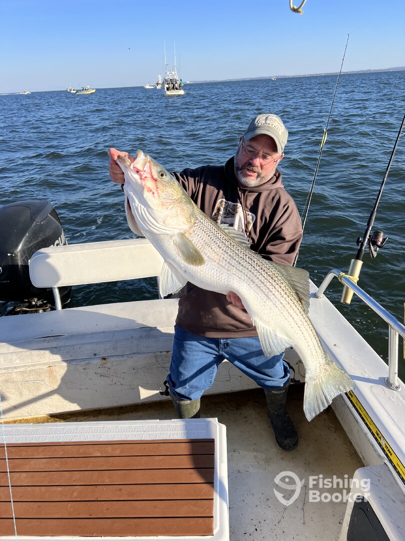 Brigantine Report Photo 0