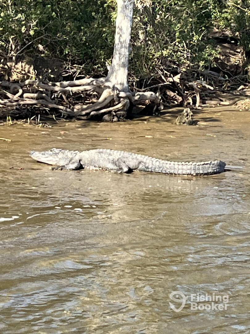 Venice Report Photo 0