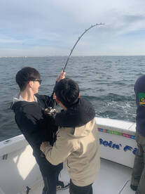 New York City Report Photo 1