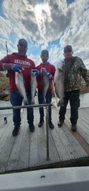 Wagoner Report Photo 2