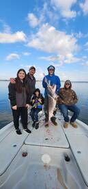 A Epic spoonbill spankdown 