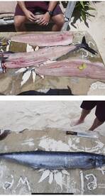 Watamu Report Photo 2