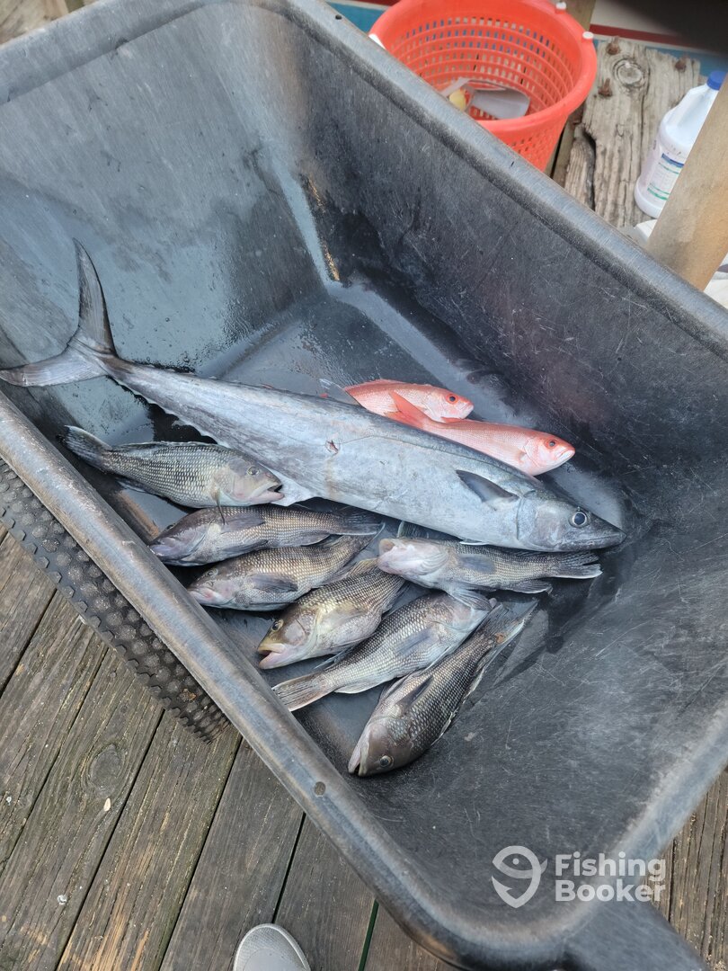 Morehead City Report Photo 0