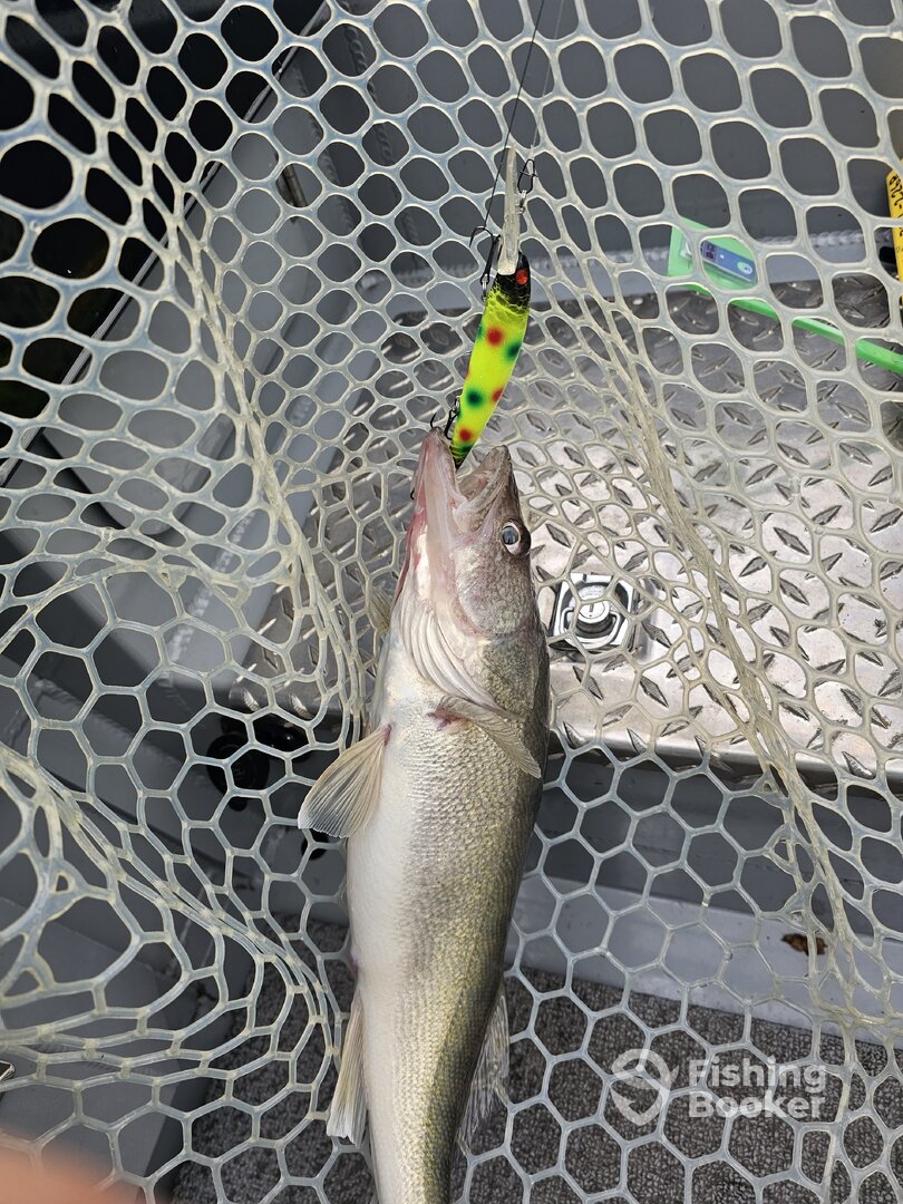 Lakeside Marblehead Report Photo 0