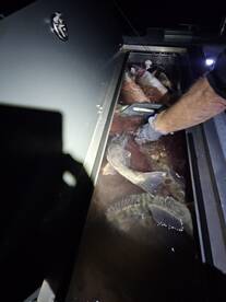 Lakeside Marblehead Report Photo 1