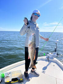 St. Bernard Report Photo 1