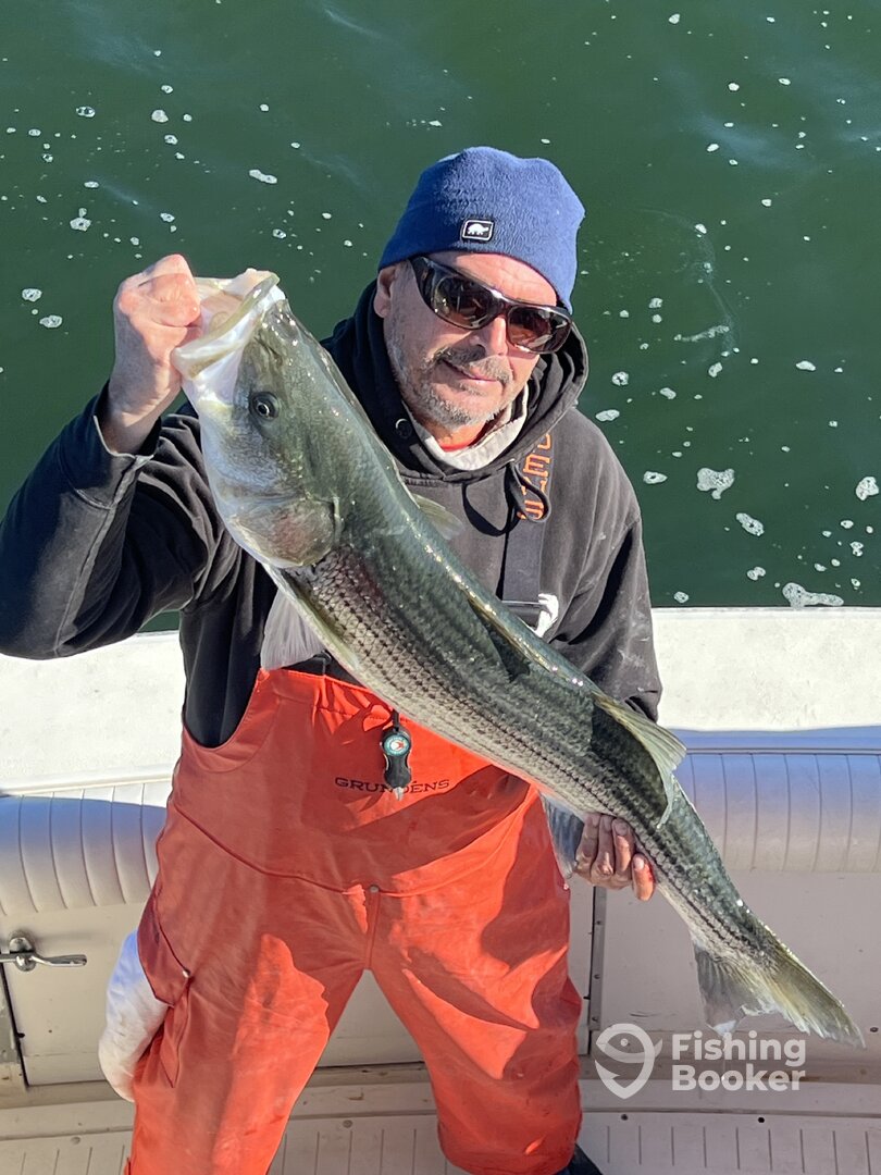 Belmar Report Photo 0