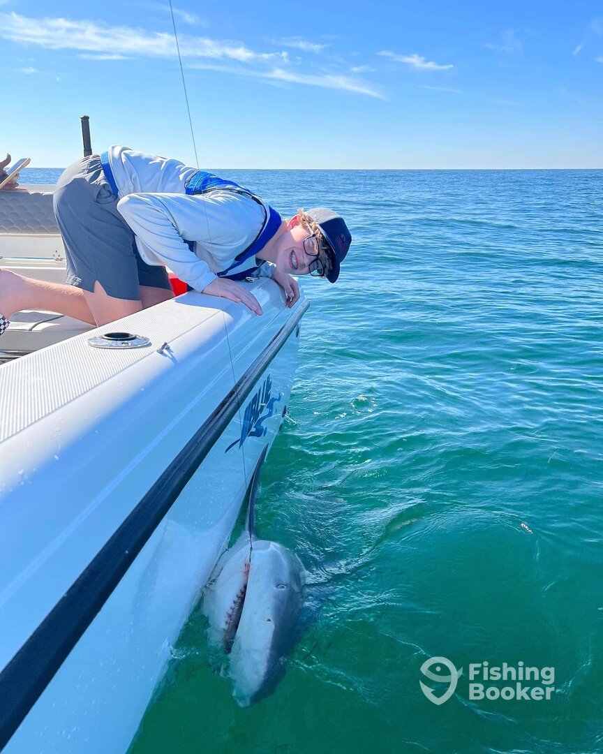 St. Petersburg Report Photo 0