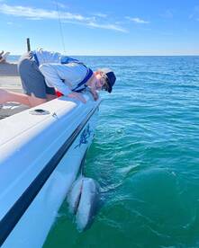 Big sharks - bigger memories!