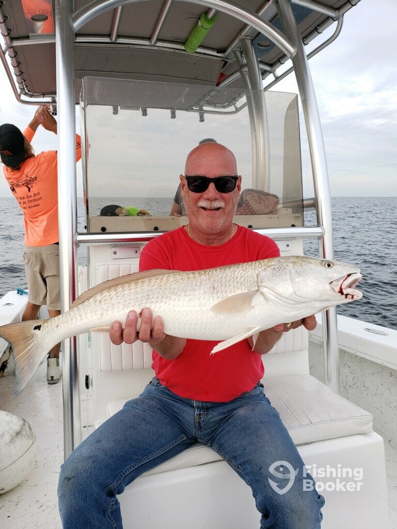 Port Orange Report Photo 0