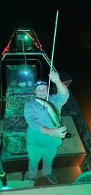 Snakeheads are back!